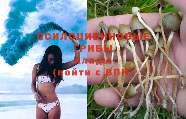 кокаин премиум Алексин