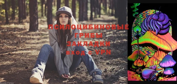 стафф Абдулино