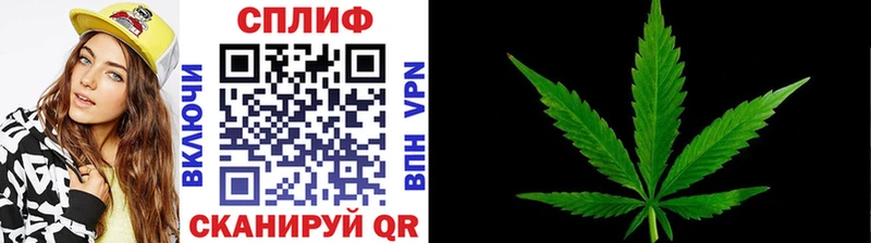 где продают   Сольвычегодск  МАРИХУАНА SATIVA & INDICA 